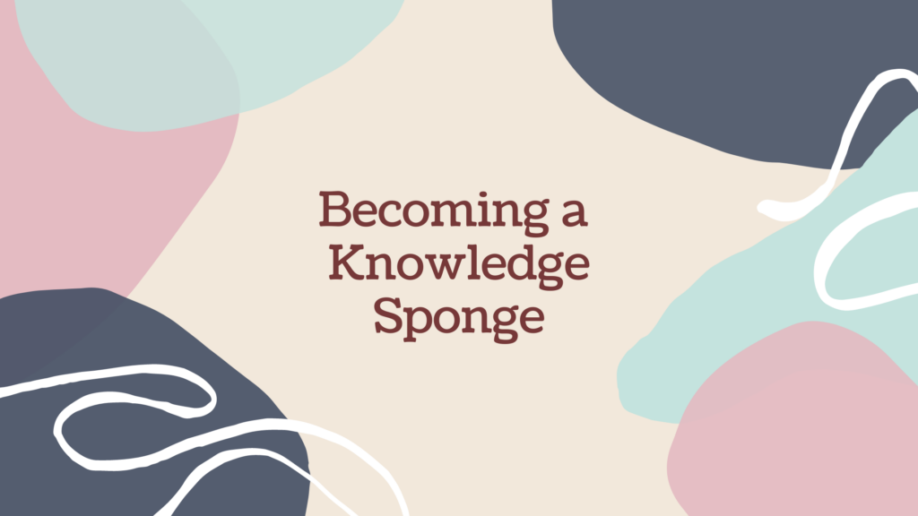 becoming a knowledge sponge by a marketing consultant